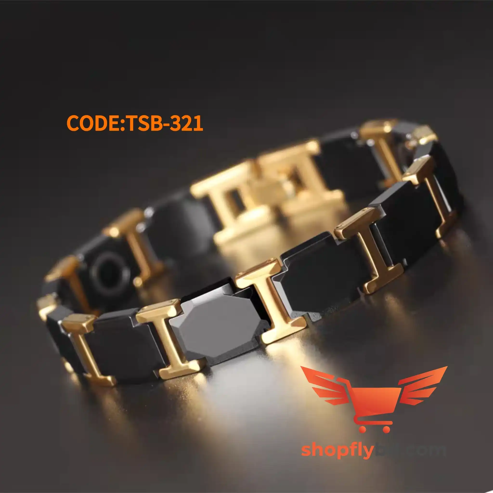 প্রিমিয়াম সেরামিক ম্যাগনেটিক হেলথ ব্রেসলেট